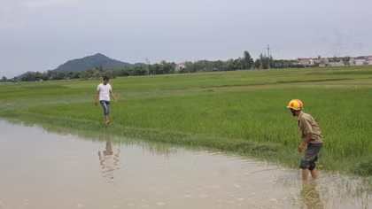 Đau lòng khi hai học sinh chết đuối sau lễ khai giảng