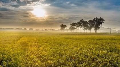 Nắng nóng tiếp diễn ở Bắc Bộ và Trung Bộ