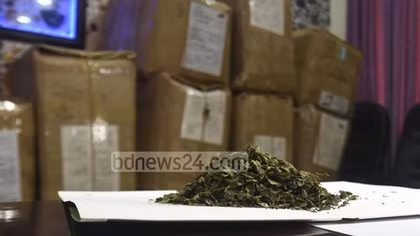 Chiến dịch chống ma tuý "khat" có nguồn gốc châu Phi