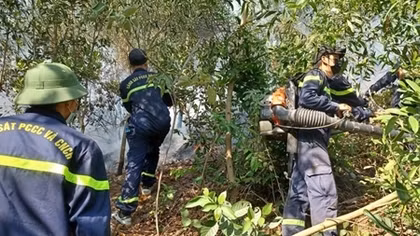 Lửa cháy ngùn ngụt thiêu rụi gần 3 hecta rừng thông