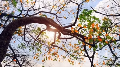 Bắc Bộ tăng nhiệt nhẹ, Nam Bộ có mưa to