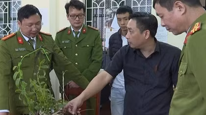 Lừa tiền tỷ bằng lan đột biến HO giả