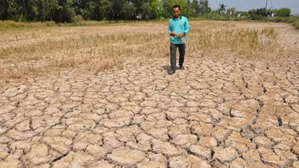 Lo ngại El Nino quay lại