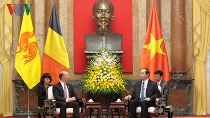 Chủ tịch nước Trần Đại Quang đánh giá cao vùng Wallonie - Bruxelles coi trọng hợp tác với Việt Nam