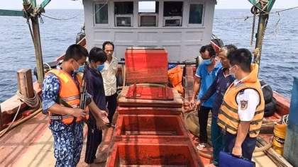 Chở 100.000 lít dầu DO trái phép trên vùng biển Tây Nam