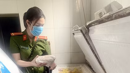 Phát hiện 2.400 con chim sẻ, vạc, cò bị ướp lạnh