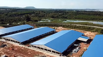 Bộ Công an vào cuộc điều tra vụ trại heo "khủng" sát hồ Trị An