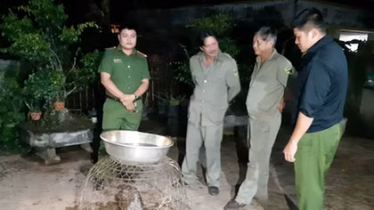 Người dân giao thú quý hiếm cho kiểm lâm 