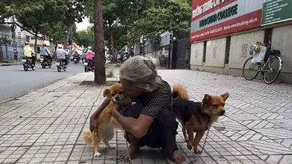 “Tình bạn” cảm động của bà cụ lượm ve chai và hai chú chó