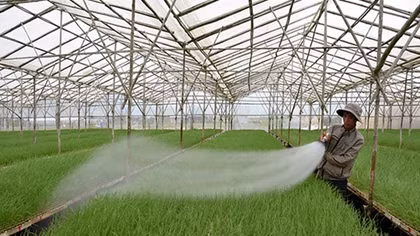 Cơ hội vàng cho phát triển thực phẩm sạch