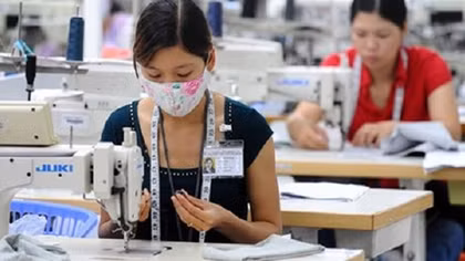 8.000 doanh nghiệp “mất tích”, nợ bảo hiểm xã hội khoảng 2.000 tỷ đồng