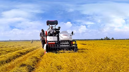 Agribank tiên phong rót vốn cho nông nghiệp công nghệ cao