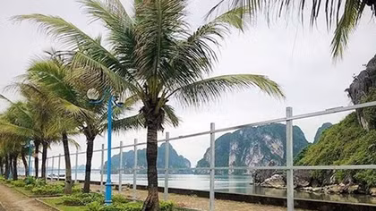 Quảng Ninh bác thông tin lấn biển mở rộng đường dọc bờ Vịnh Hạ Long