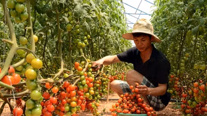 Bừng lên “ngọn lửa” khởi nghiệp