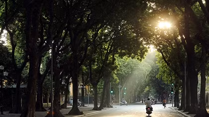 Miền Bắc rét về đêm và sáng, miền Nam mưa to do bão