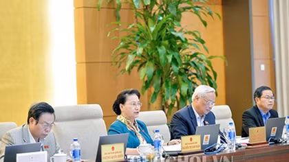 Cân nhắc khi miễn, giảm thuế đất 99 năm tại 3 đặc khu kinh tế