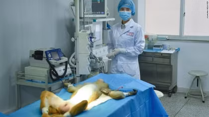 Những nỗ lực của y học nhằm cứu sống con người