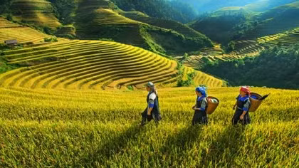 Bắc Bộ xuất hiện nắng nóng