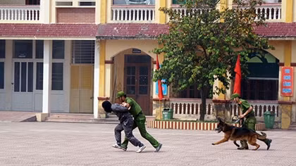 Hải Phòng diễn tập khu vực phòng thủ năm 2018