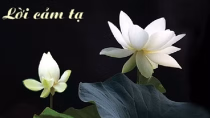 Lời cảm tạ của gia đình cụ Chu Thị Tý