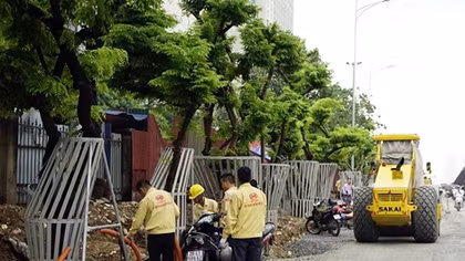 Hà Nội bảo vệ hàng cây sưa đỏ quý hiếm bằng "áo giáp sắt"
