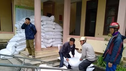 Mười tỉnh xin hỗ trợ gạo cứu đói dịp Tết Nguyên đán Đinh Dậu