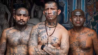 MS - 13, băng đảng tội phạm đe dọa an ninh nước Mỹ