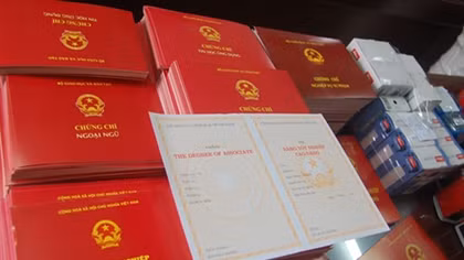 Cảnh cáo, cách chức nữ Phó phòng gian dối bằng cấp