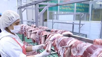 Không để điều hành giá thịt lợn bằng mệnh lệnh hành chính