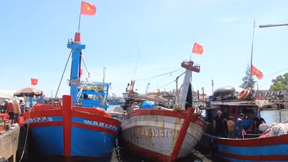 Nhờ chính sách hỗ trợ của Nhà nước, ngư dân phấn khởi vươn khơi