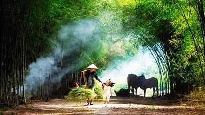 Miền Bắc hạ nhiệt nhẹ, ngày nắng nóng tối mưa giông