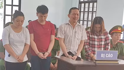 4 anh em trong một gia đình lừa đảo lĩnh 27 năm tù