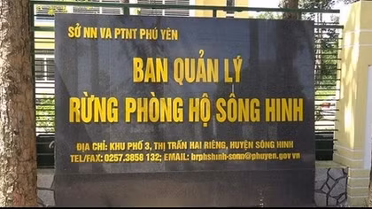  Khởi tố nguyên Phó Giám đốc Ban quản lý rừng phòng hộ Sông Hinh
