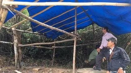 Vô cớ hành hung kiểm lâm và nhân viên bảo vệ rừng 