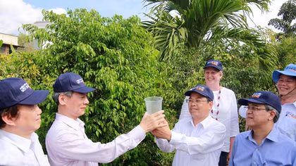 Lần đầu tiên thả muỗi mang vi khuẩn Wolbachia trên đất liền ở Việt Nam