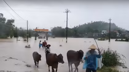 Gần 1.500 căn nhà ở Bình Định ngập trong mưa lũ