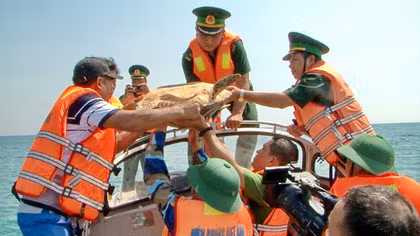 Giải cứu một cá thể rùa biển về lại môi trường tự nhiên