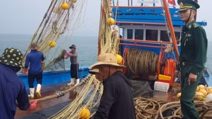 Truy đuổi, bắt giữ hai tàu giã cào đánh bắt hải sản trái phép 