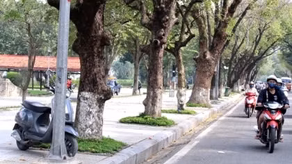Lái xe máy tự đâm vào lề đường, đôi nam nữ tử vong
