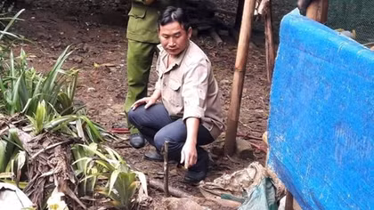 Thu gom xử lý nhiều bom và đạn cối trong vườn nhà dân