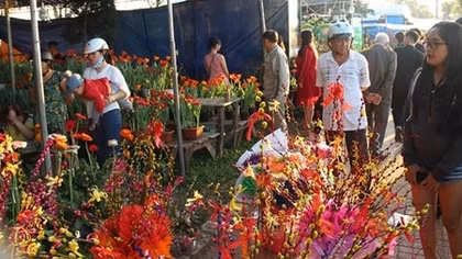 Chợ hoa lớn nhất xứ Huế nhộn nhịp ngày giáp Tết