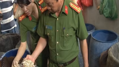 Kinh hãi "công nghệ" giá đậu được sản xuất bằng hóa chất 