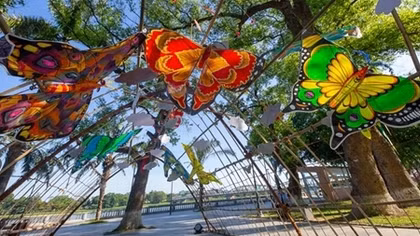 Hấp dẫn lễ hội Diều Huế 2019