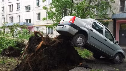 Bão mạnh nhất 100 năm qua tàn phá Moscow, hàng trăm người thương vong