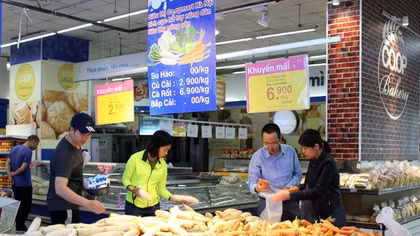 Bán hàng không lãi “giải cứu” củ cải Mê Linh