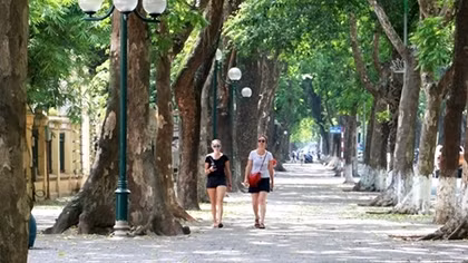 Những khoảng xanh mát "quý như vàng" giữa chảo lửa Hà Nội