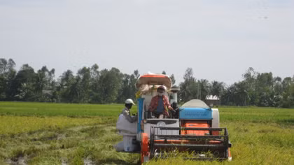 Thúc đẩy chuyển giao công nghệ tái cơ cấu ngành nông nghiệp