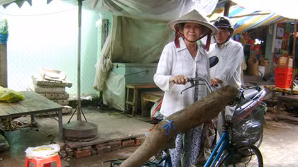 Củ khoai mì “siêu khủng” 