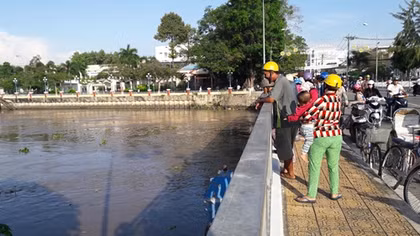 Nữ nhân viên tạp vụ của trường tiểu học nhảy cầu tự tử