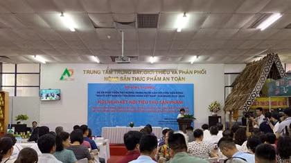 Tăng cường hoạt động liên kết trong chuỗi cung ứng hàng hóa 